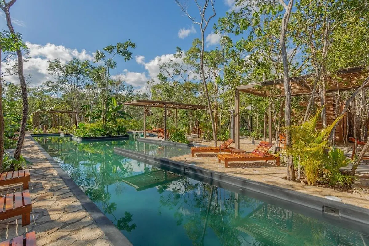 Apartment Geckos House Aldea Savia Planta Baja Con Terraza 2 Habitaciones Tulum